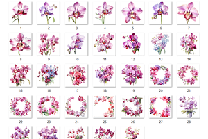 Watercolor Pink Orchid Flowers Set