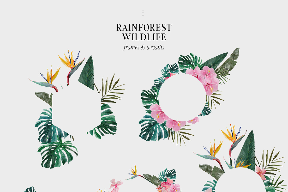 COSTA RICA — jungle animals, an Animal Illustration by Lana Elanor (Photo 9 of 11)