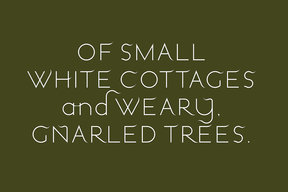 Windswept. Stunning sans serif font, a Sans Serif Font by LostandFoundry (Photo 2 of 8)