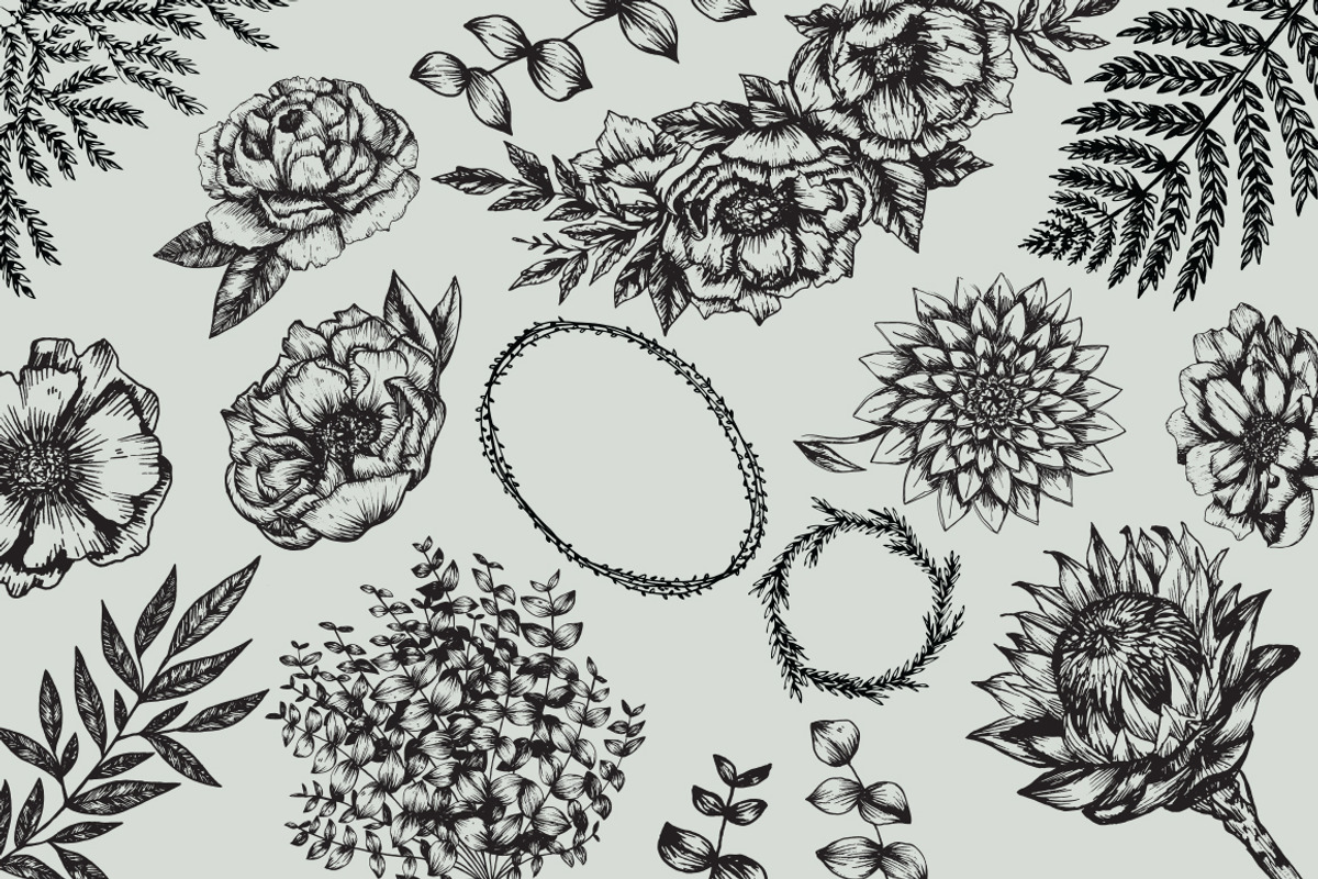 Hand-Illustrated Botanicals Vectors, an Illustration by Britt Fabello (Photo 4 of 5)