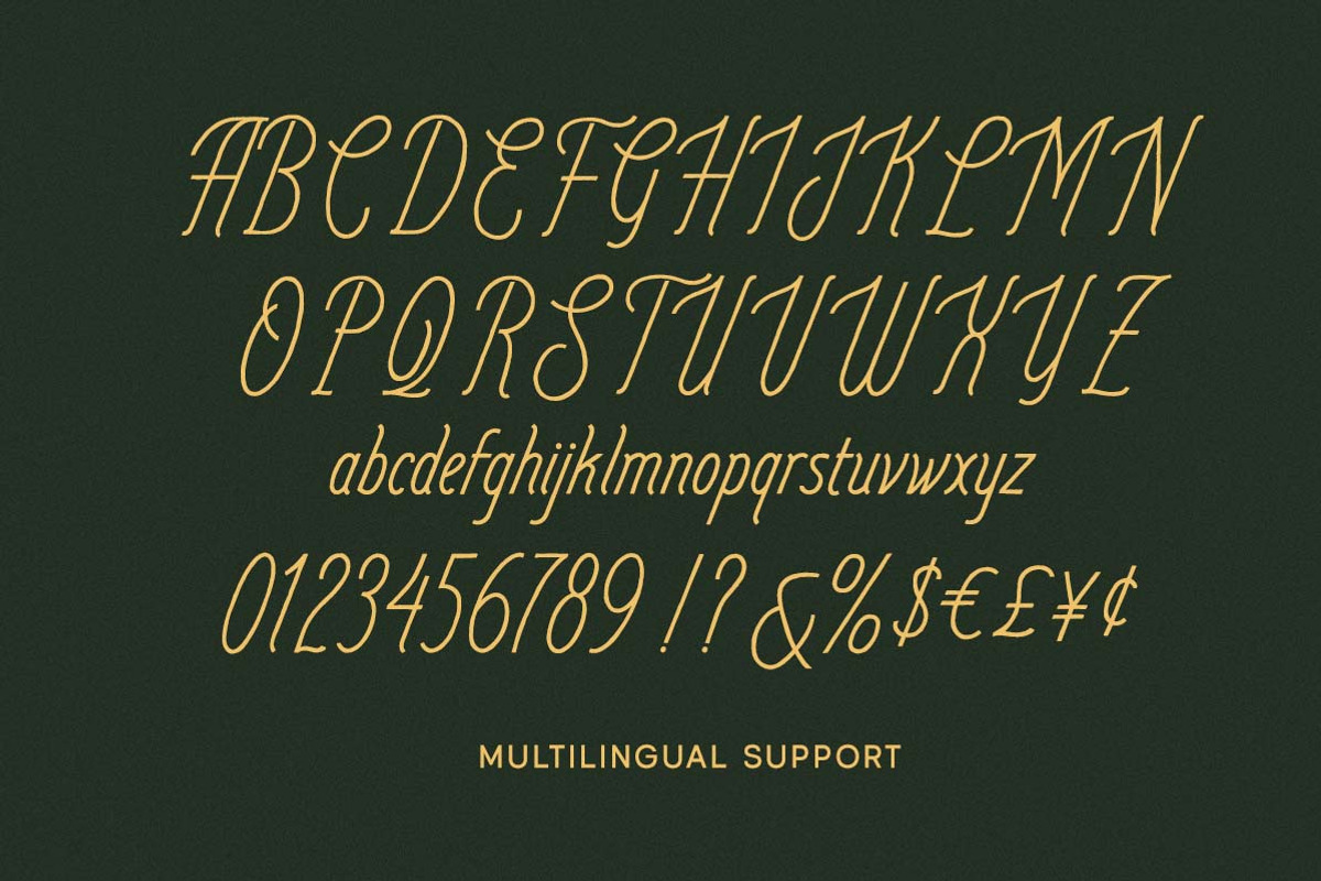 Aurelisse Pen Handwritten Font, a Handwritten Font by Letterhend Studio (Photo 9 of 9)