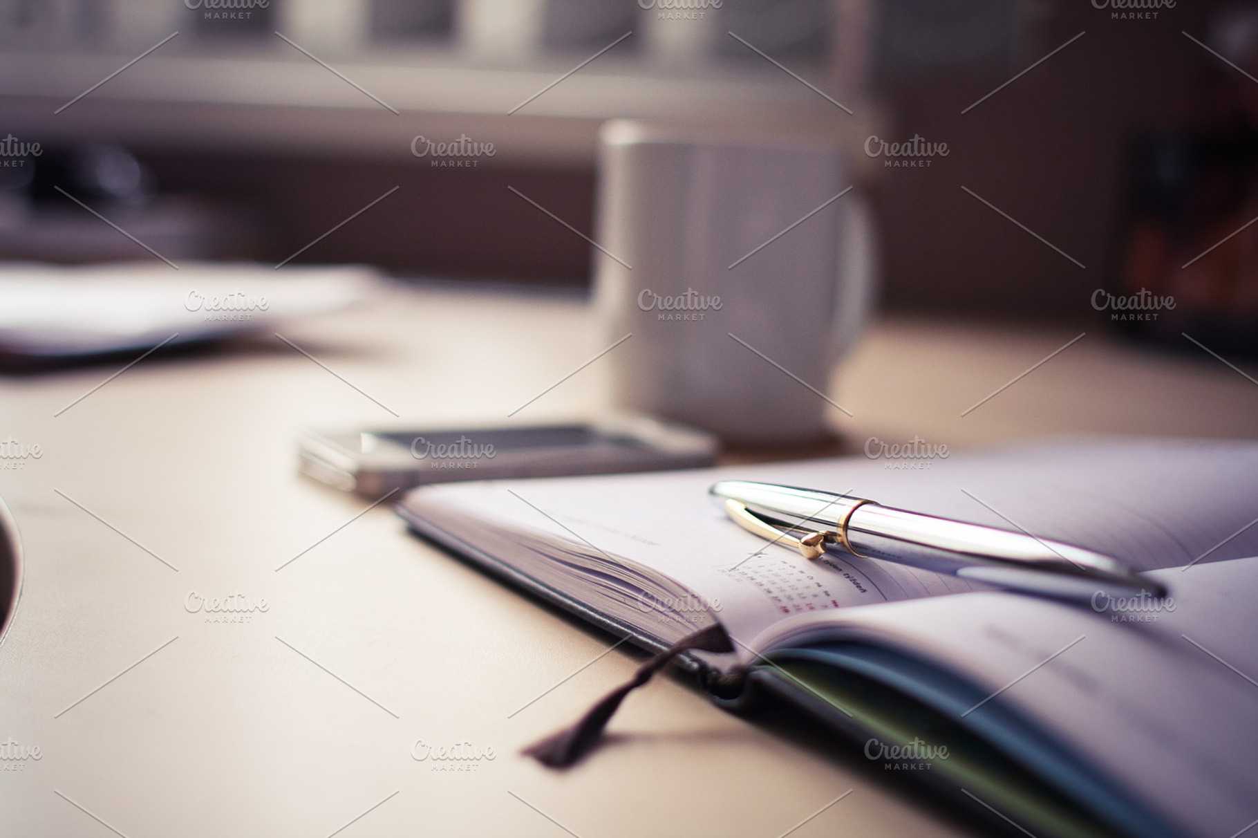Expensive Pen With A Diary