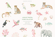 Whimsy Tropical Clipart Collection, an Animal Illustration by PeDe Designs (Thumbnail 2 of 11)
