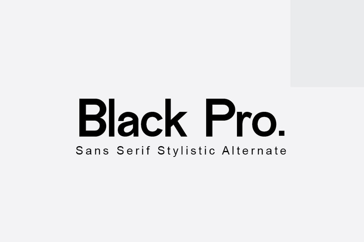 Black Pro, a Sans Serif Font by rmdndsign (Photo 3 of 6)
