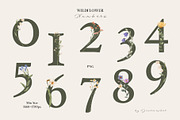Watercolor Wildflowers Collection, an Object Illustration by Jenteva Art (Thumbnail 8 of 18)