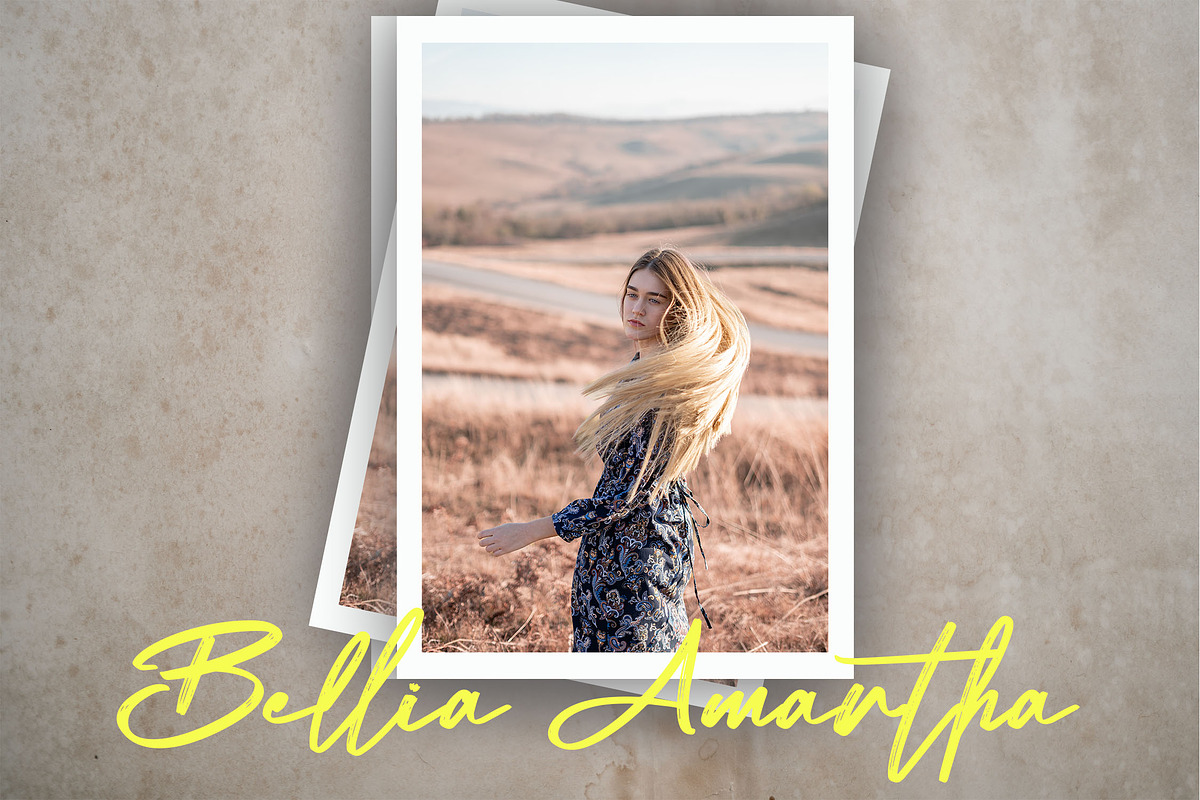 Metadiva Brush Script Font, a Script Font by NTC Graphic (Photo 5 of 7)