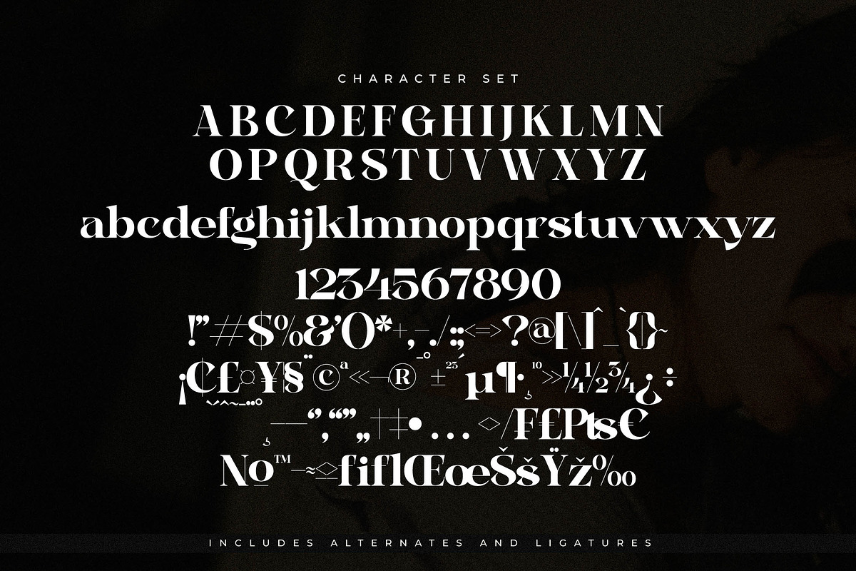 Bagife Modern Serif Font, a Serif Font by Storytype Studio (Photo 13 of 15)