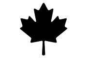 Maple Leaf Oak Leaf Autumn, an Object Graphic by Gfx_Store (Thumbnail 14 of 15)