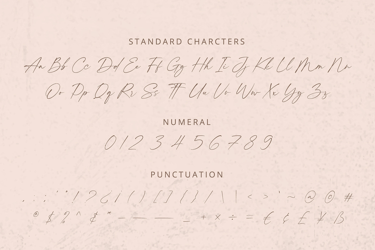 Felicity - Handwritten Font, a Script Font by Alpaprana (Photo 10 of 12)