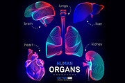Vector set of human inner organs, a Healthcare Illustration by Rodionoff (Thumbnail 1 of 7)