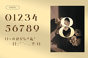 Lavero - Modern Ligatures Font, a Serif Font by Nirmana Visual (Thumbnail 4 of 8)