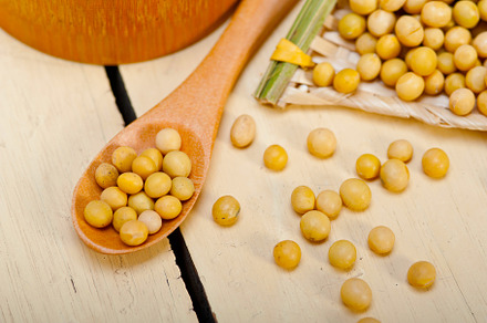 organic soya beans, a Food & Drink Photo by keko64