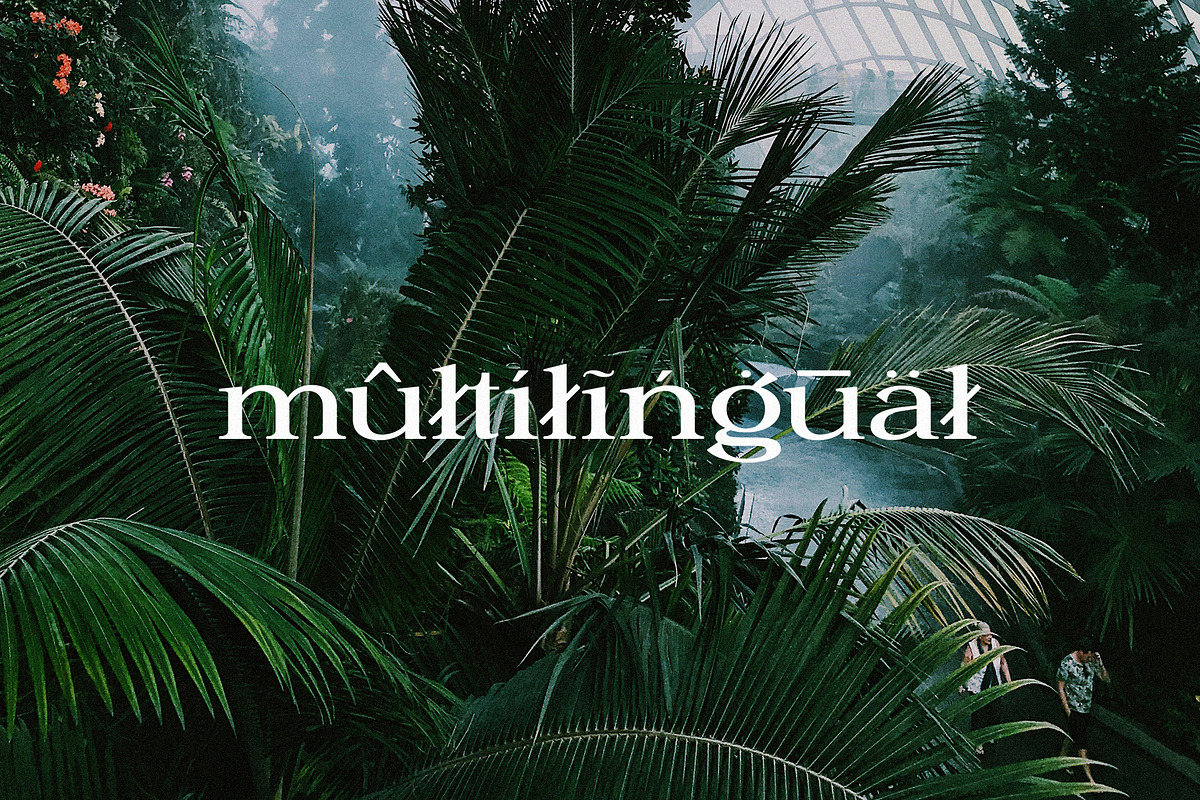 Petrichor - Expanded Serif, a Serif Font by Schrifted Type (Photo 8 of 8)