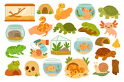 Cute Exotic Pets Clipart Set, an Animal Illustration by ananastya (Thumbnail 2 of 3)