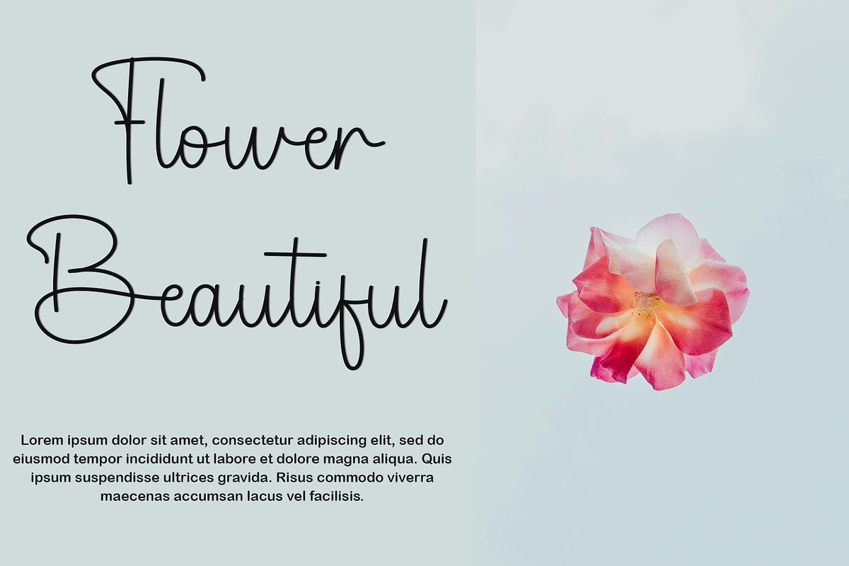 Sample Harmony, a Handwritten Font by FreshTypeINK (Photo 6 of 8)