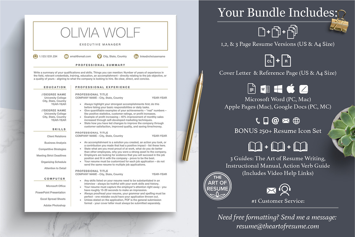 Free Resume CV Template | Professional Executive Resume preview 2