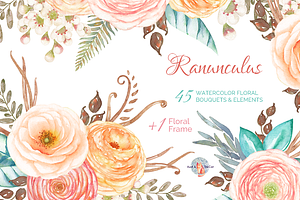 Ranunculus Watercolor