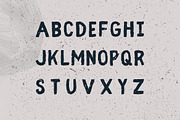 Fibre - Vintage Font, a Script Font by Wild Ones (Thumbnail 2 of 8)
