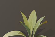 The Haran Bush, a Plants & Tree 3D Model by FuturePastCreatives (Thumbnail 9 of 13)