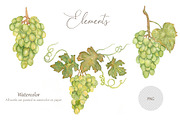 Watercolor Grapes, a Food Illustration by MayaNavits (Thumbnail 4 of 15)