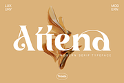 Attena _ modern serif typeface, a Serif Font by Penatic Studio (Thumbnail 1 of 10)