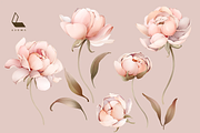 1K+ Belle Watercolor Floral Bundle, an Illustration by Karma (Thumbnail 46 of 54)