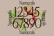 Breasto - Display Serif, a Sans Serif Font by tebaltipislab (Thumbnail 10 of 18)
