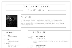 Vega Resume Template