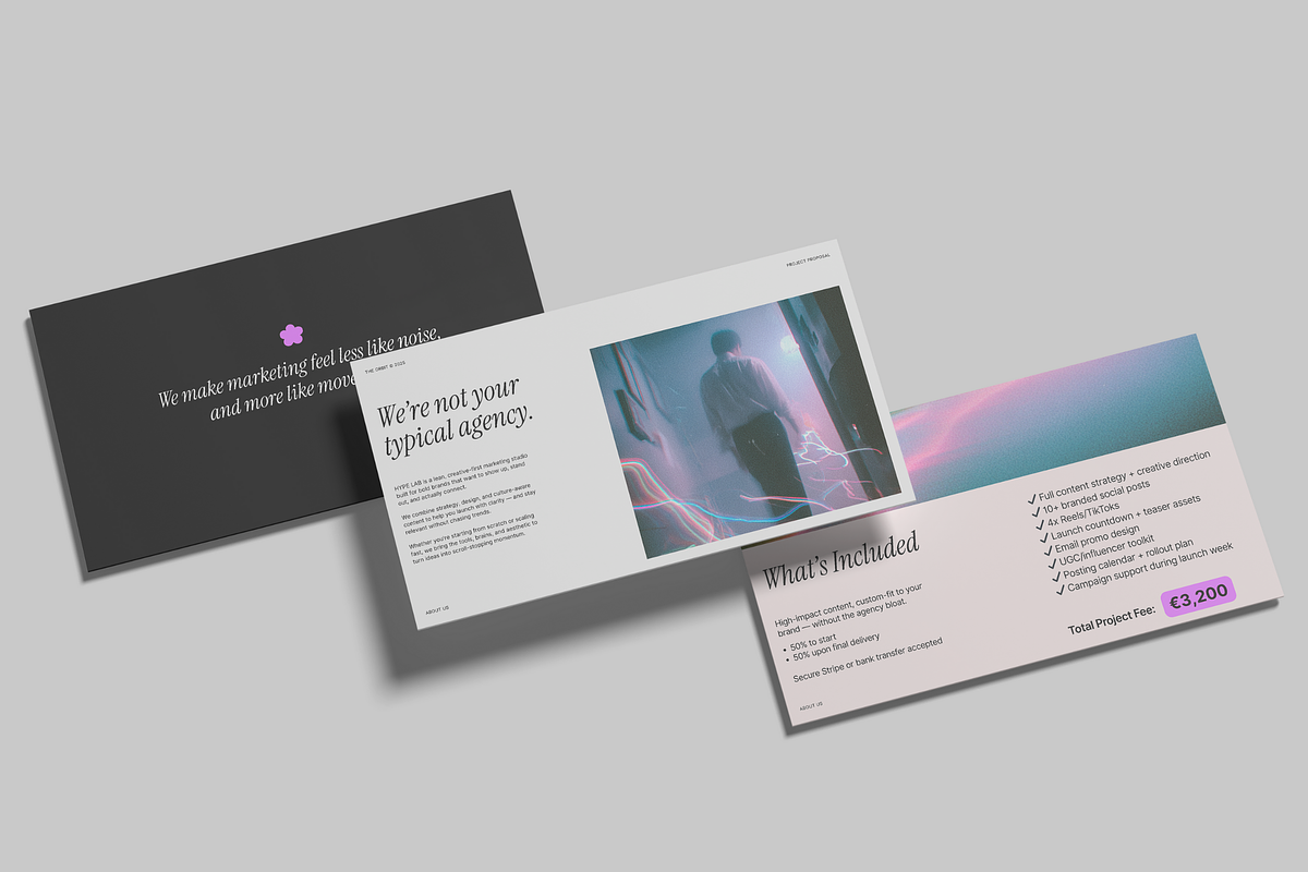 Hype Lab Project Proposal Deck preview 4