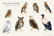 Birds Watercolor Painted Set, an Animal Illustration by AnitaPol (Thumbnail 5 of 18)