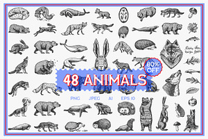 Big Set Bundle. Animals Fox, Wolf