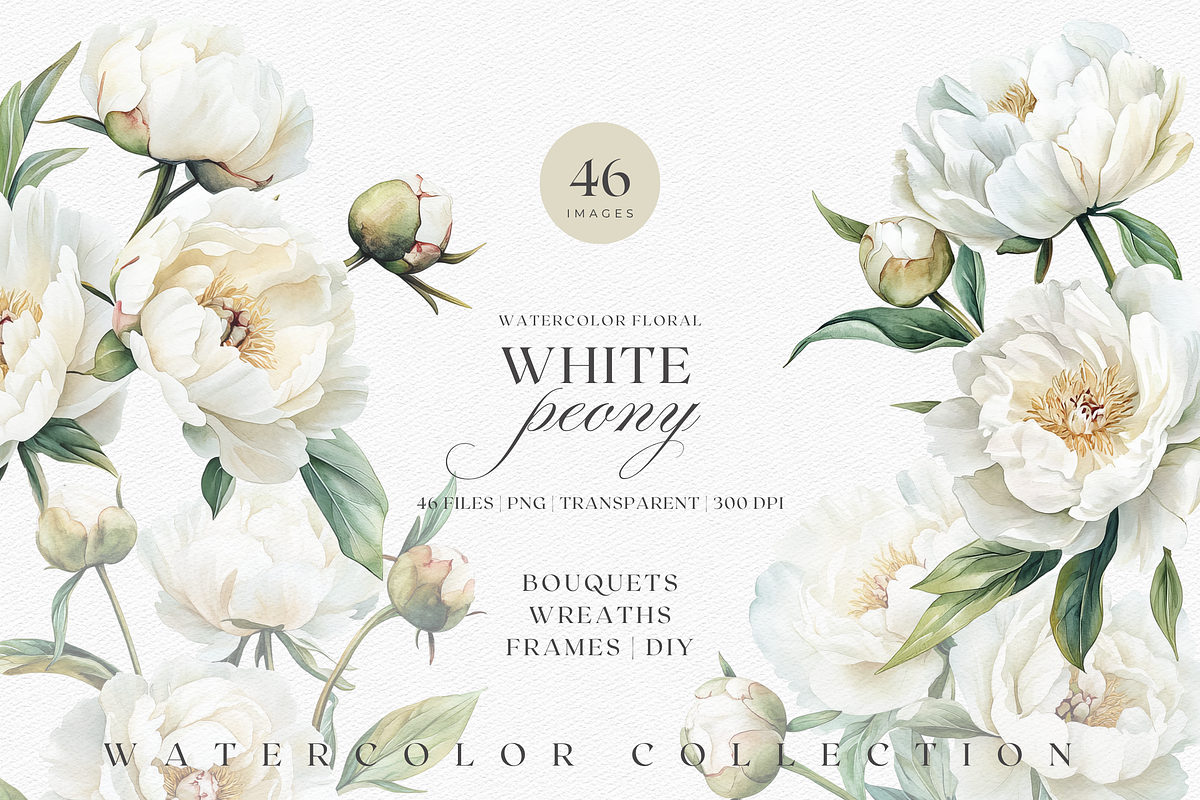 White Peony Watercolor, a Decorative Illustration by ThaismotaCreativeCo (Photo 1 of 10)