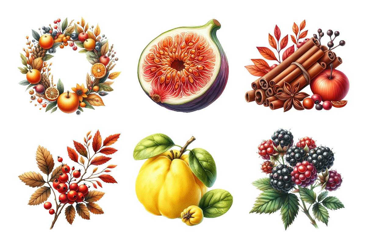 Autumn Fruits Clipart Bundle, an Illustration by Daily.Designs ...