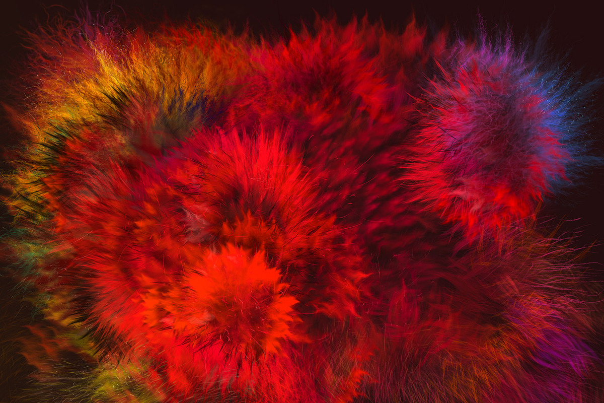Realistic FUR Brushes for Affinity, a Brush Add-On by Eldar Zakirov's (Photo 4 of 5)