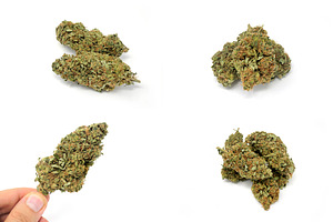 Cannabis marijuana weed photo pack