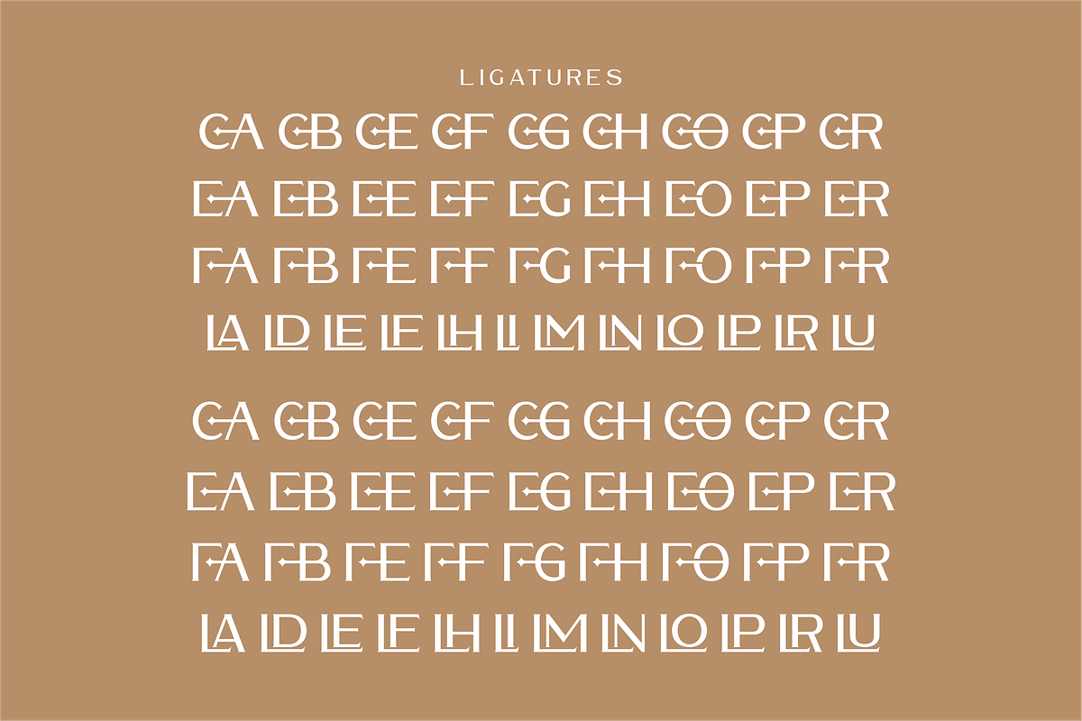 Waldecry A Modern Serif Font, a Serif Font by Storytype Studio (Photo 8 of 15)