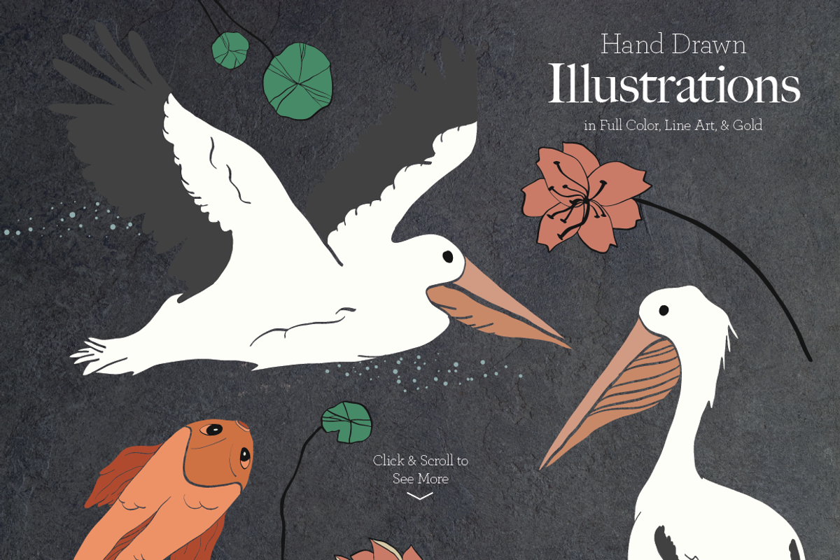 Fancy Pelican Collection, a Texture Illustration by DesignsByMissM (Photo 2 of 4)