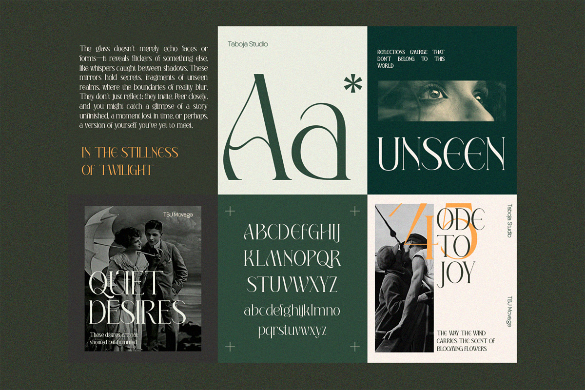 Elegant Condensed Volume 4, a Serif Font by Taboja Studio (Photo 5 of 22)