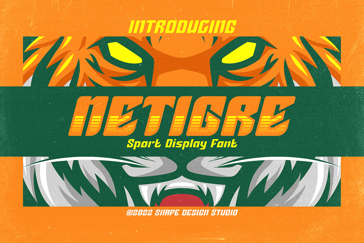 Netigre - Sport Font, a Font by Snape Design Studio (Photo 1 of 5)