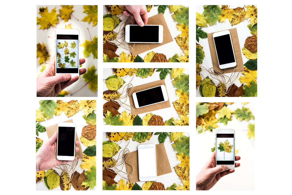 Phone Mockup on Postcard in Autumn, an iPhone Mockup by VetalStock (Photo 2 of 3)