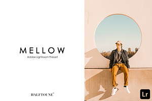 Lightroom Preset | Mellow HALFTOUNE