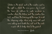 Seralace - Elegant Handwritten, a Handwritten Font by Indotype Foundry (Thumbnail 8 of 10)