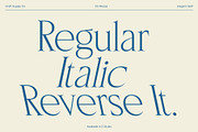CS Rivosa – Elegant Serif Font, a Serif Font by Craft Supply Co. (Thumbnail 4 of 8)