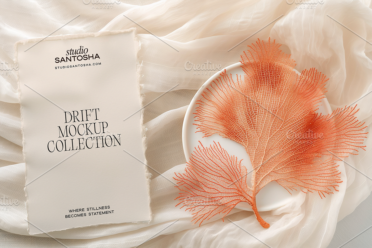 Drift Mockup Collection, a Mac Mockup by Studio Santosha (Photo 10 of 12)