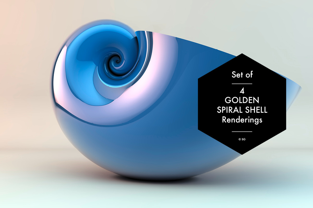 Golden Spiral Shell Set, a Graphic by helloSG (Photo 4 of 4)
