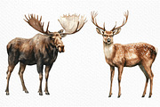 Watercolor Wildlife Nature Animals, an Illustration by Craft Nest (Thumbnail 5 of 6)