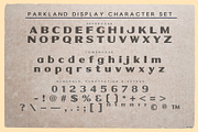 Parkland Type Pack | Retro Outdoors!, a Script Font by StudioWorks (Thumbnail 6 of 11)