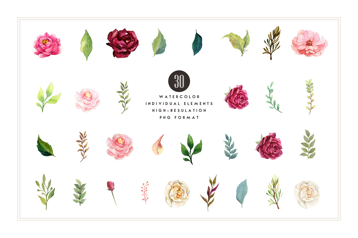 Watercolor Flower Clipart, an Illustration by Pixavics (Photo 6 of 7)
