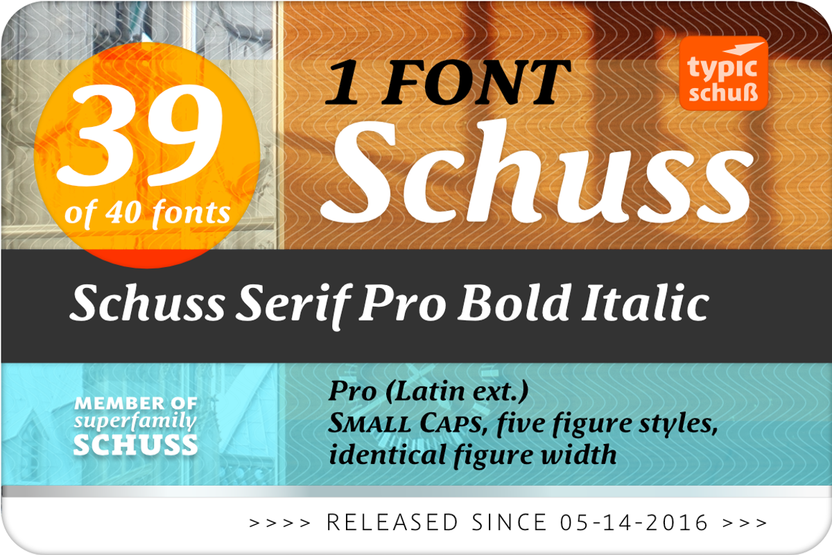SchussSerifProBoldIta No.39 (1 Font) preview 2
