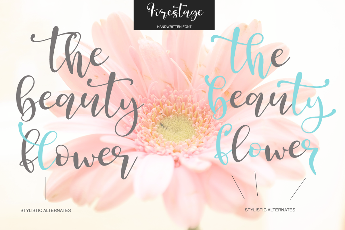 Forestage, a Script Font by Larin Type Co. (Photo 5 of 6)